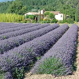 mas-de-longuefeuille.fr-provencehotel.com/